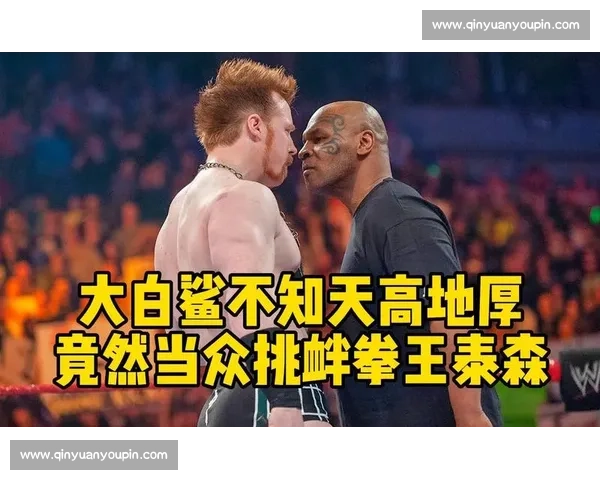 泰森震撼亮相WWE擂台精彩瞬间全记录 泰森震撼亮相WWE擂台精彩瞬间全记录