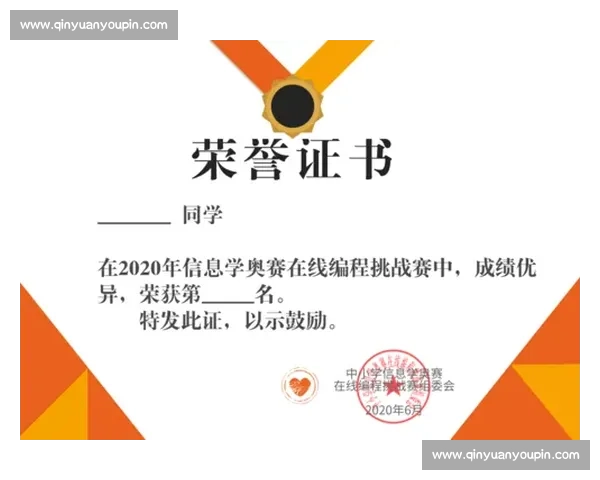 面向未来开发者的高水平在线编程比赛实战挑战与创新交流盛会平台