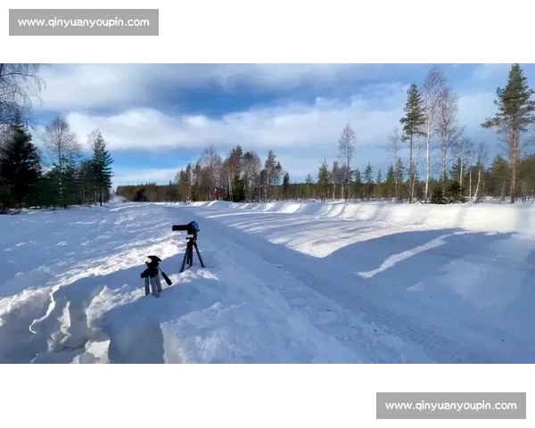 雪地争锋 打雪仗竞技赛让你体验冰雪激情与团队协作的完美结合